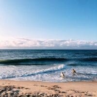 Dogs running on beach, cwww5.fioekdjsdas.cf