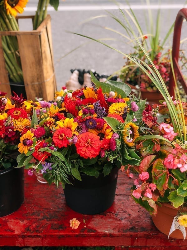 Hamptons Farm Stand Flowers, cwww5.fioekdjsdas.cf