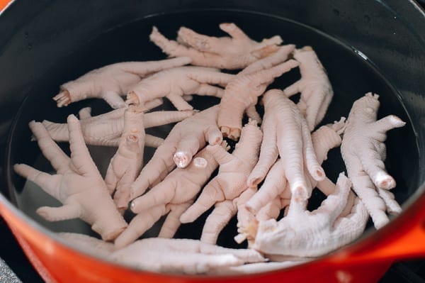 Chicken feet in pot with water, cwww5.fioekdjsdas.cf