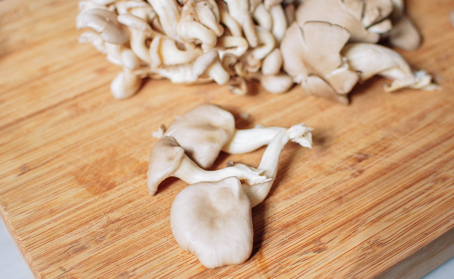 Oyster Mushrooms, cwww5.fioekdjsdas.cf