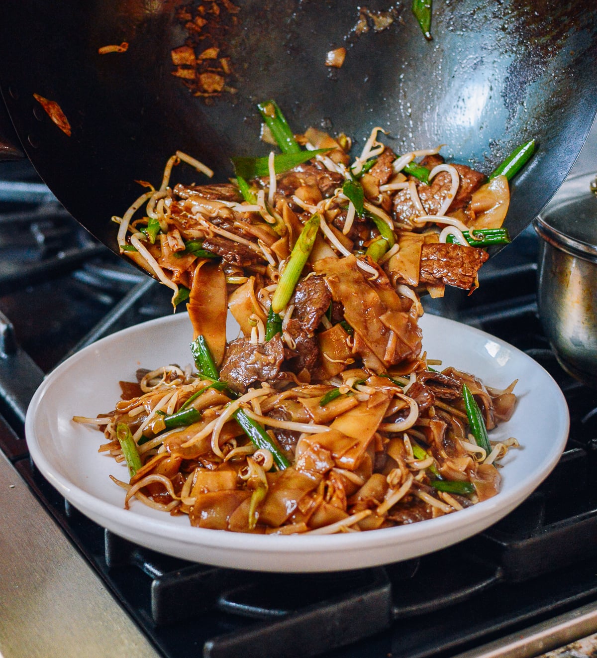Plating Beef Chow Fun, cwww5.fioekdjsdas.cf
