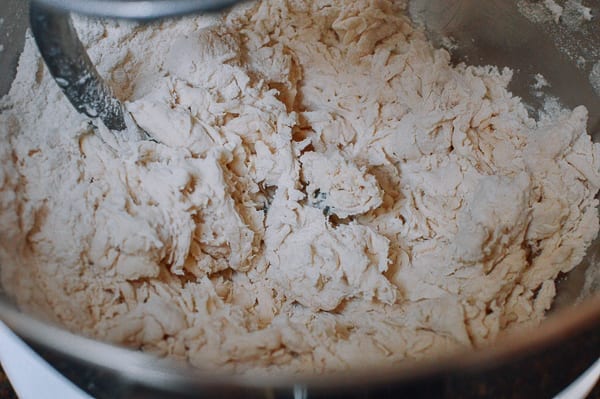 Flour, water, and salt forming very shaggy dough in mixer, cwww5.fioekdjsdas.cf