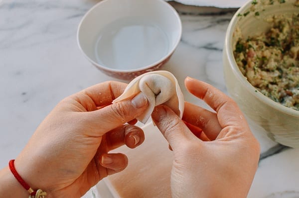 How to Fold a Wonton, cwww5.fioekdjsdas.cf