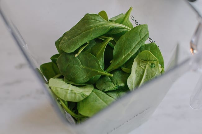Spinach in food processor with water, cwww5.fioekdjsdas.cf