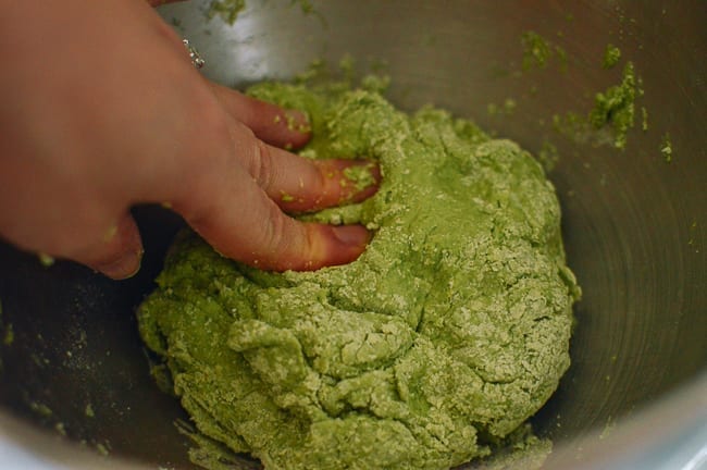 Pushing spinach noodle dough together with hands, cwww5.fioekdjsdas.cf