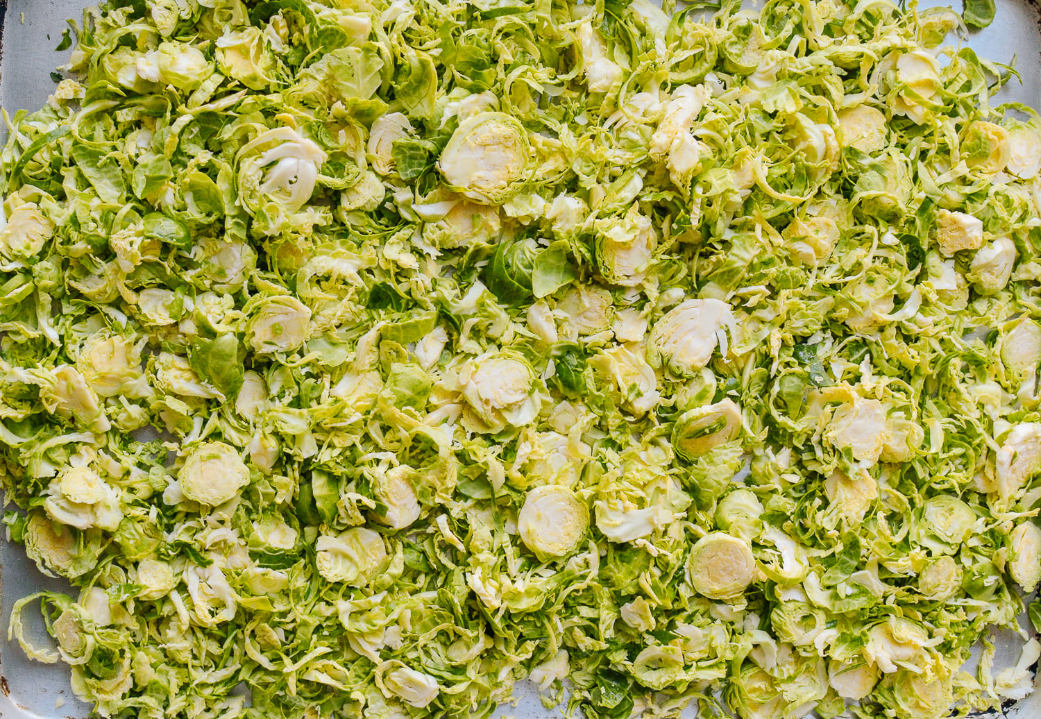 Shredded Brussels Sprouts on sheet pan, cwww5.fioekdjsdas.cf