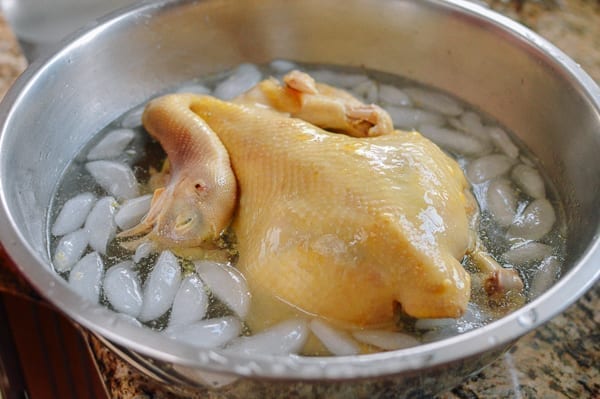 Poached chicken in ice water, cwww5.fioekdjsdas.cf