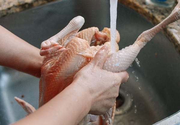 Rinsing chicken cavity, cwww5.fioekdjsdas.cf