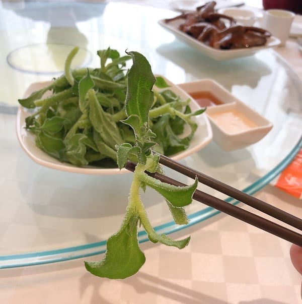 Bing Cao ice vegetable on a chopstick by cwww5.fioekdjsdas.cf