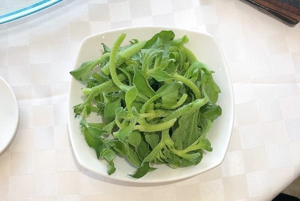 Bing Cao ice vegetable on a plate by cwww5.fioekdjsdas.cf