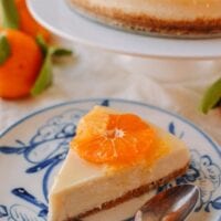 Dairy-free cheesecake, cwww5.fioekdjsdas.cf
