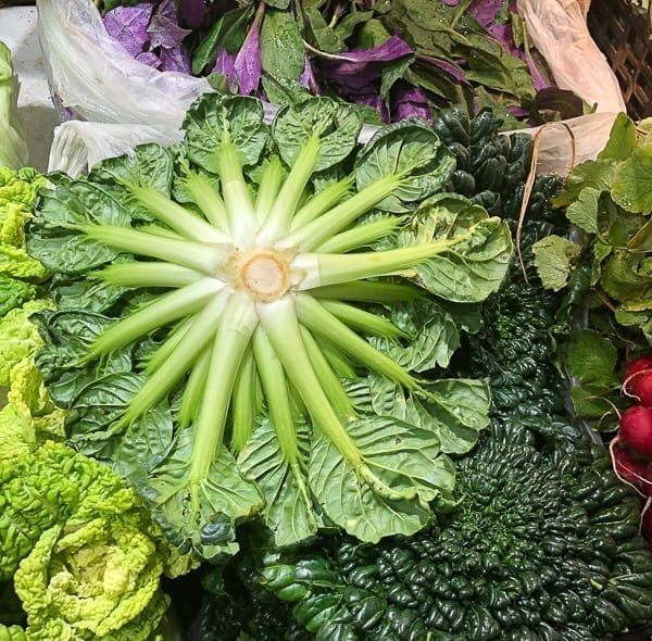 Bottom of Tatsoi leafy green Chinese vegetable by cwww5.fioekdjsdas.cf
