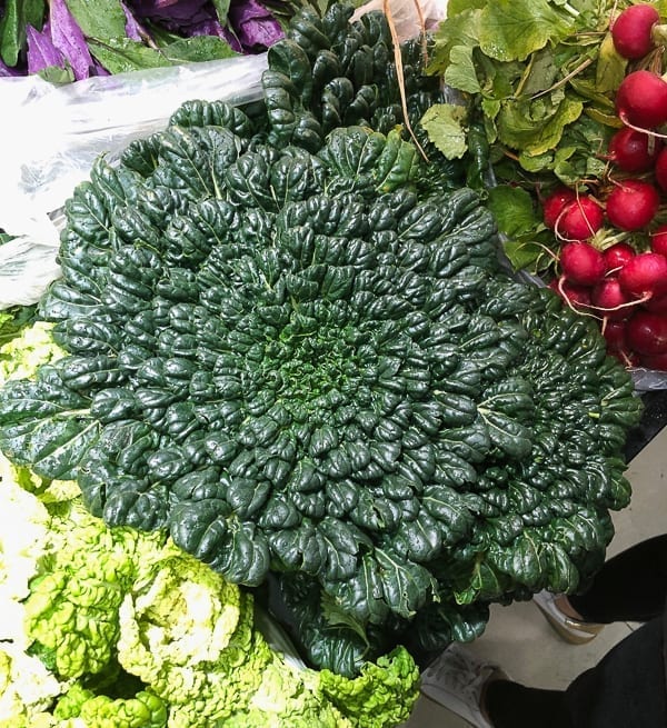Tatsoi leafy green Chinese vegetable by cwww5.fioekdjsdas.cf