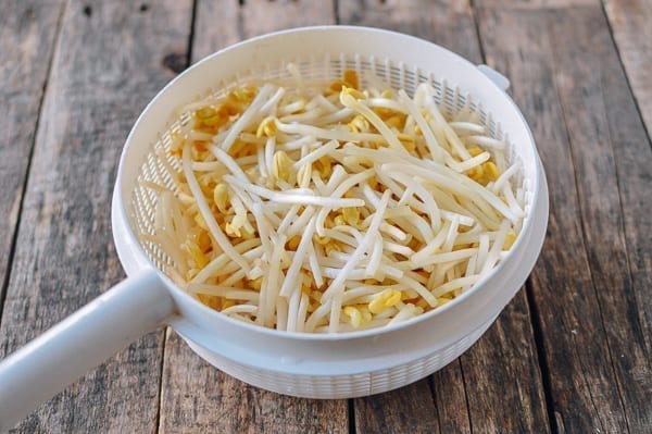 Trimmed soybean sprouts in colander, cwww5.fioekdjsdas.cf