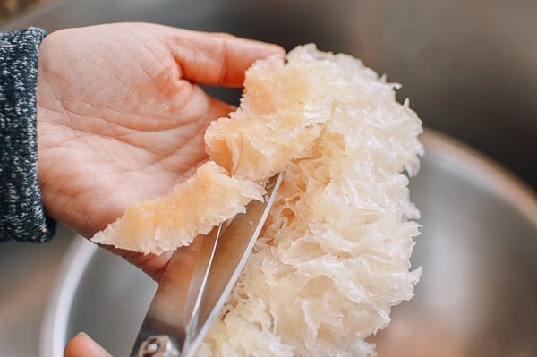 Cutting tough end off of reconstituted snow fungus, cwww5.fioekdjsdas.cf