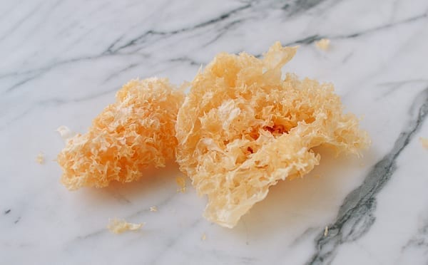Snow fungus, cwww5.fioekdjsdas.cf