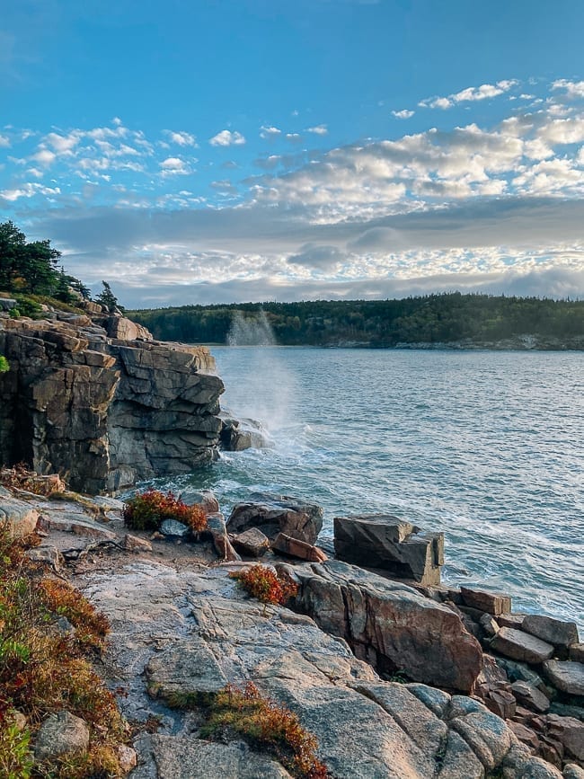Shoreline along Ocean Path in Acadia, cwww5.fioekdjsdas.cf