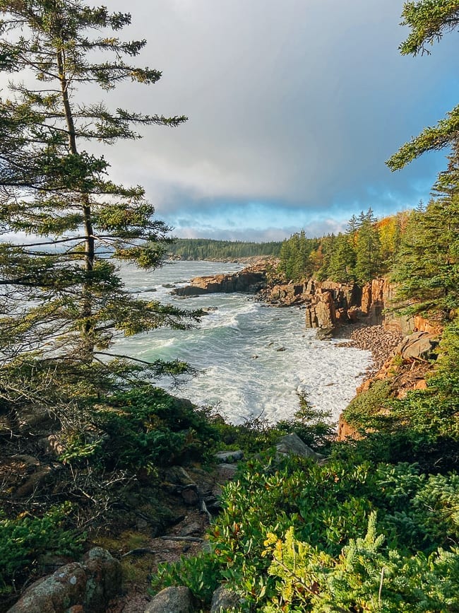 Shoreline along Ocean Path in Acadia, cwww5.fioekdjsdas.cf