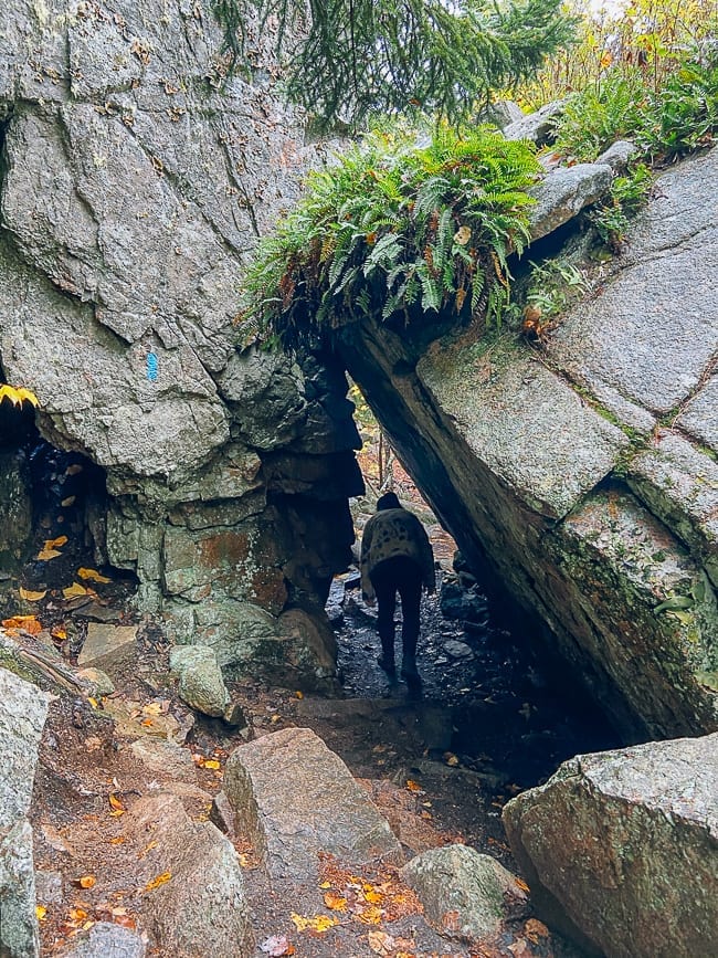 Cadillac Cliffs spur trail in Acadia National Park, cwww5.fioekdjsdas.cf