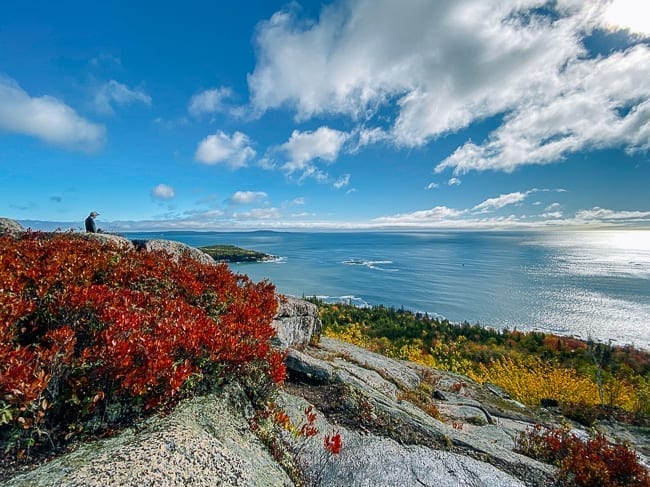 View from summit of Gorham Mountain, cwww5.fioekdjsdas.cf