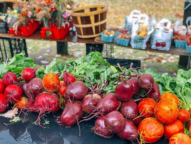 Beets at Porland Maine Farmer's Market, cwww5.fioekdjsdas.cf