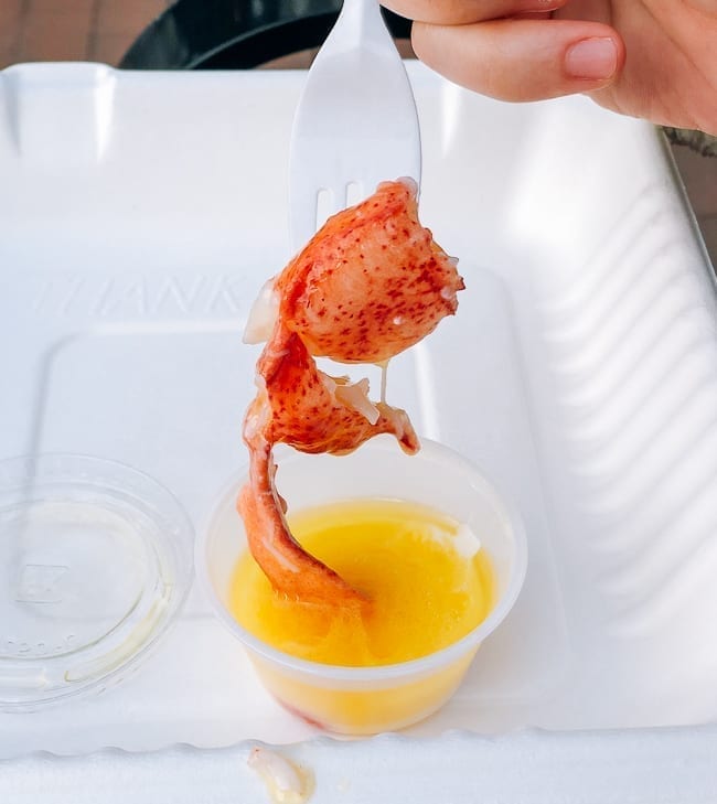 Dipping lobster into cup of butter, cwww5.fioekdjsdas.cf