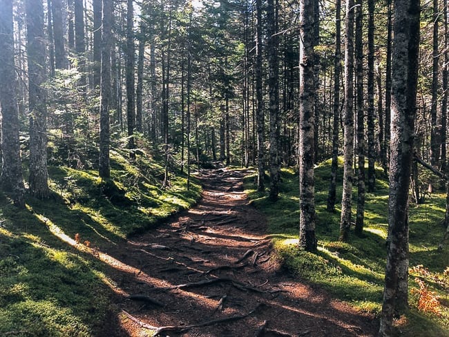 Hike through forest in Barred Island Preserve, cwww5.fioekdjsdas.cf
