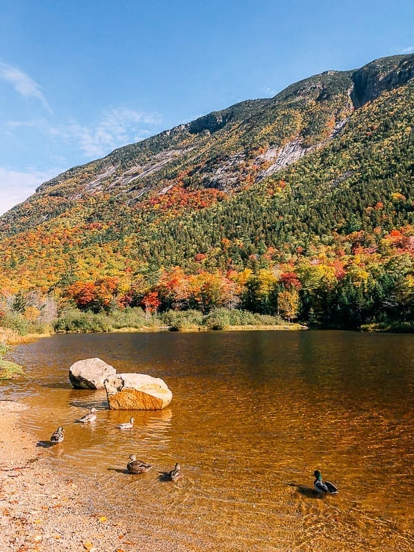 Saco River in Fall, cwww5.fioekdjsdas.cf