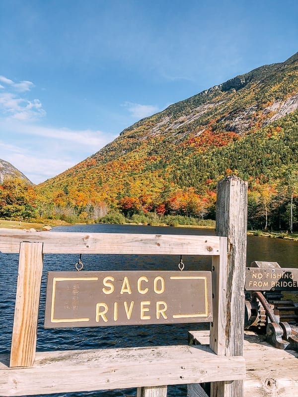 Saco River sign, cwww5.fioekdjsdas.cf