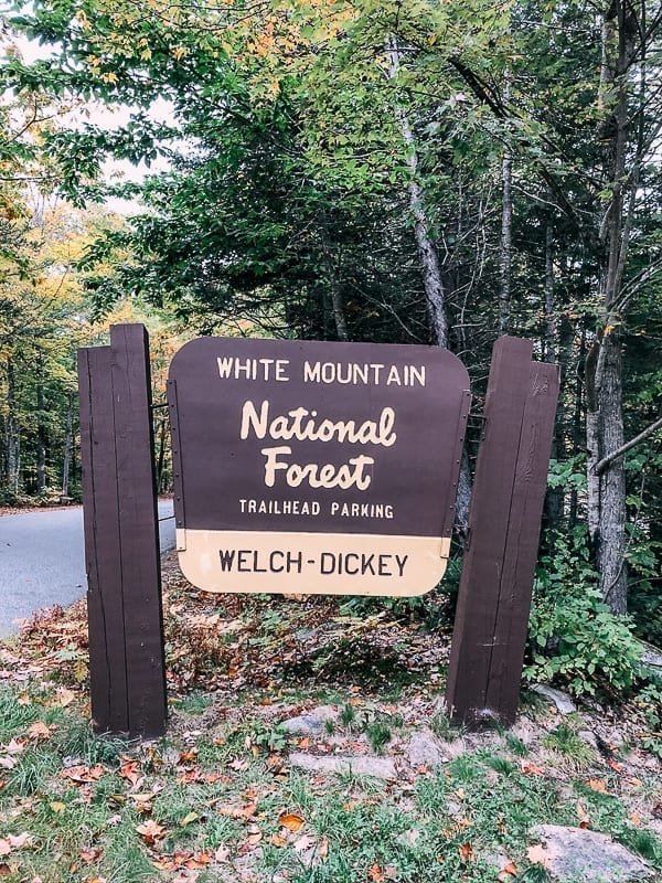White Mountain National Forest Welch Dickey Trailhead Sign, cwww5.fioekdjsdas.cf