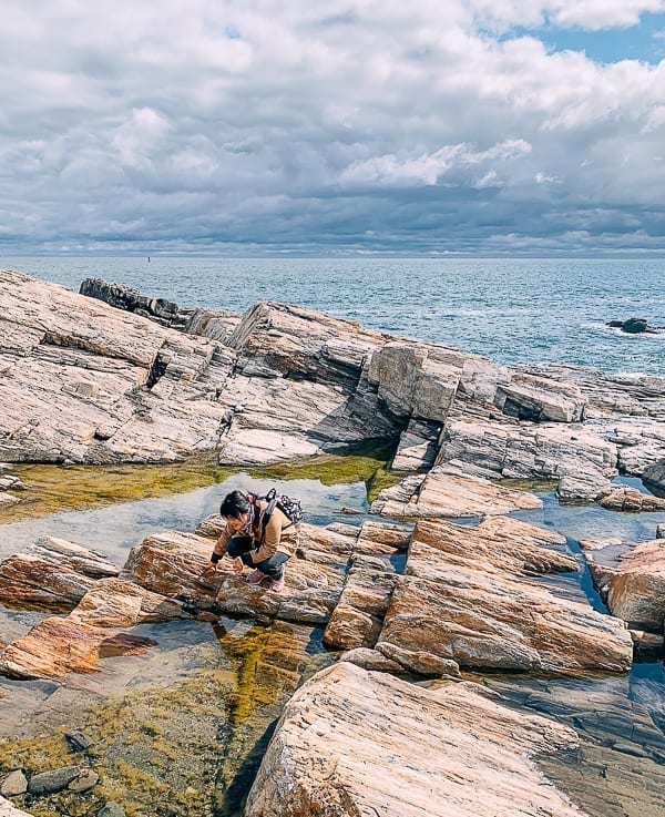 Kaitlin looking at tide pools in Maine, cwww5.fioekdjsdas.cf