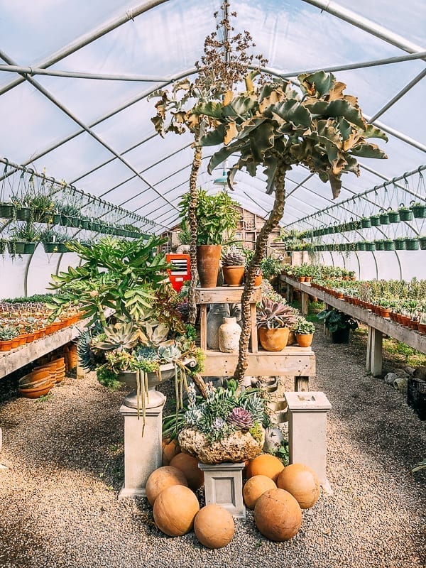 Greenhouse at Snug Harbor Farm, cwww5.fioekdjsdas.cf