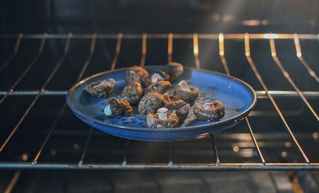 Putting mushrooms in oven to dry, cwww5.fioekdjsdas.cf
