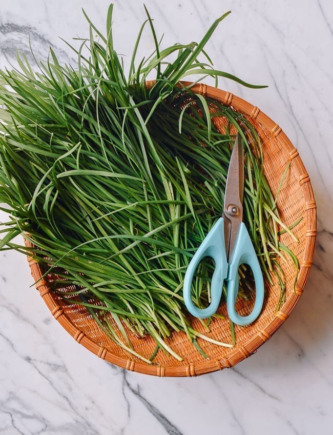 Garlic Chives in basket, cwww5.fioekdjsdas.cf