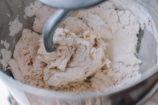 Forming a shaggy dough with flour, salt, and water, cwww5.fioekdjsdas.cf