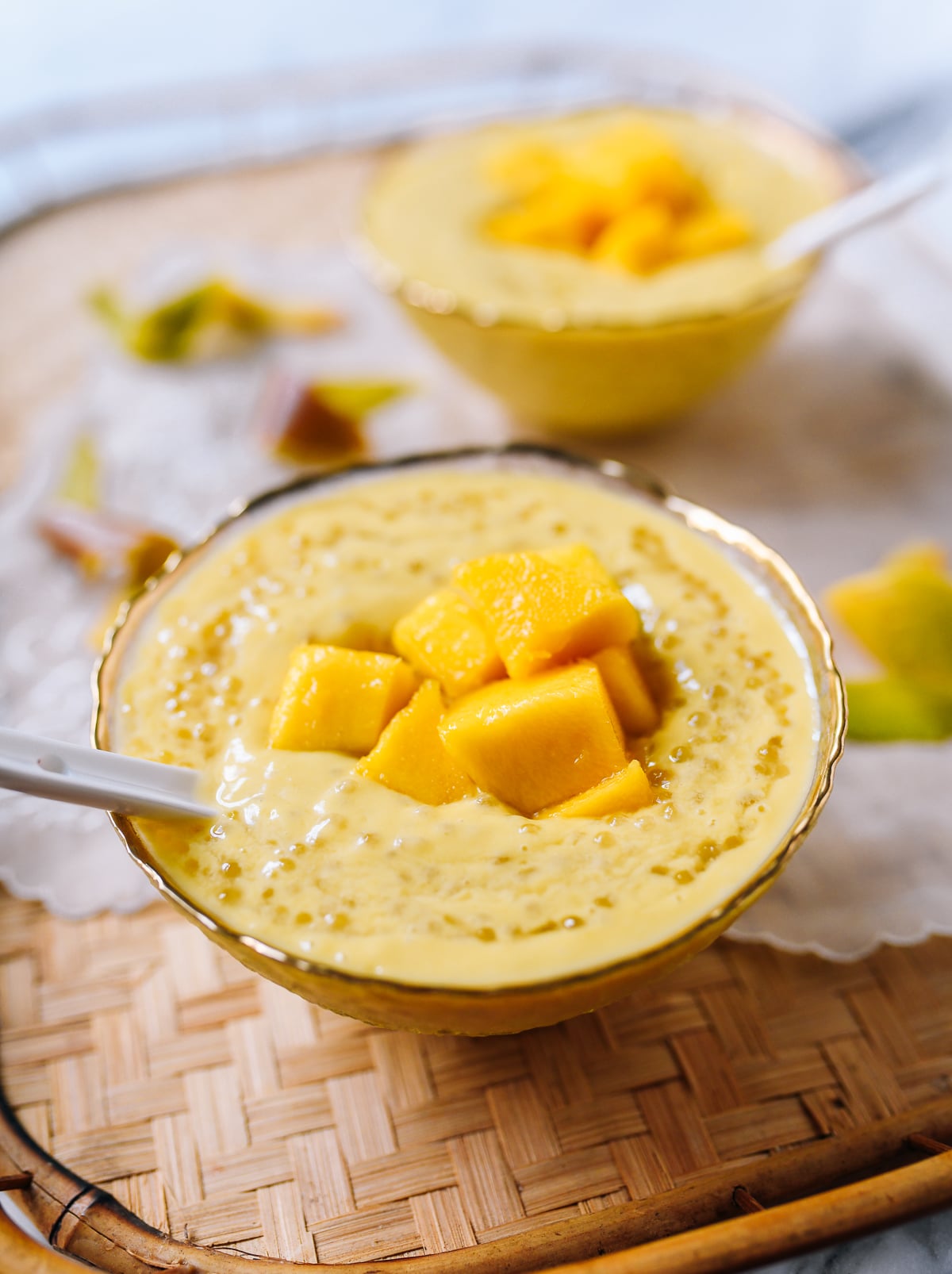 Mango Sago, cwww5.fioekdjsdas.cf
