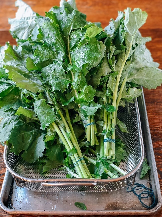 Greens tied into bundles, cwww5.fioekdjsdas.cf