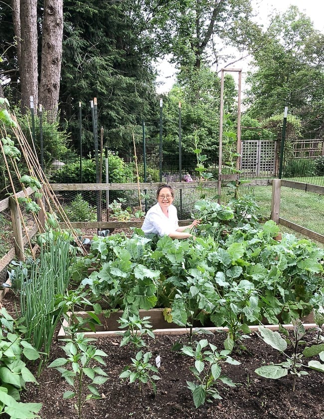Vegetable Garden Tour!