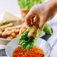 Vietnamese Cha Gio, cwww5.fioekdjsdas.cf