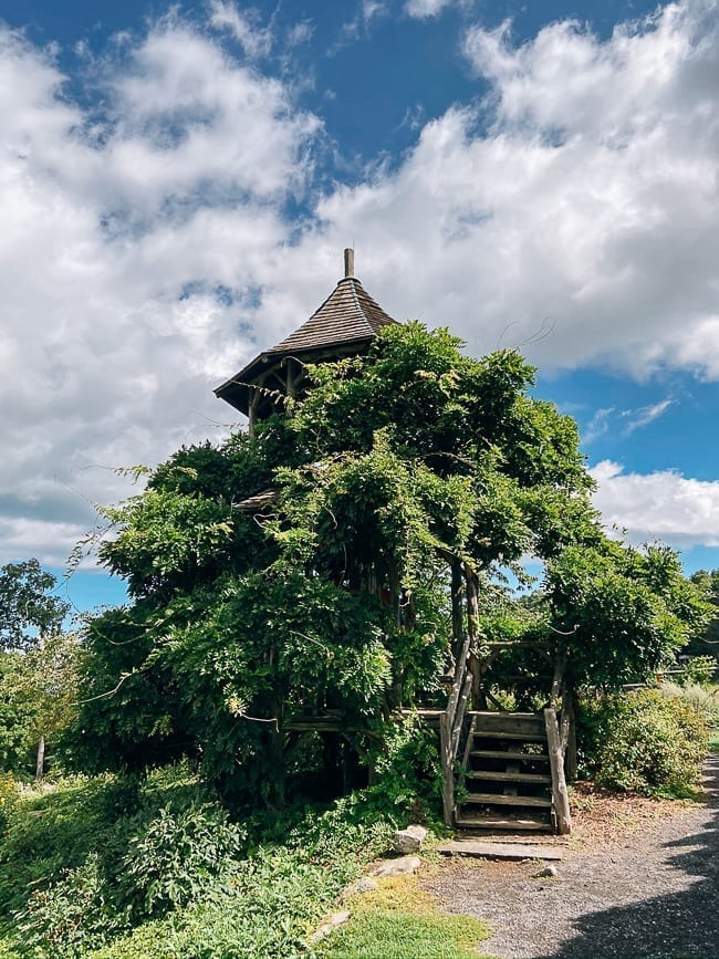 Mohonk Mountain House Wisteria covered tree house, cwww5.fioekdjsdas.cf 
