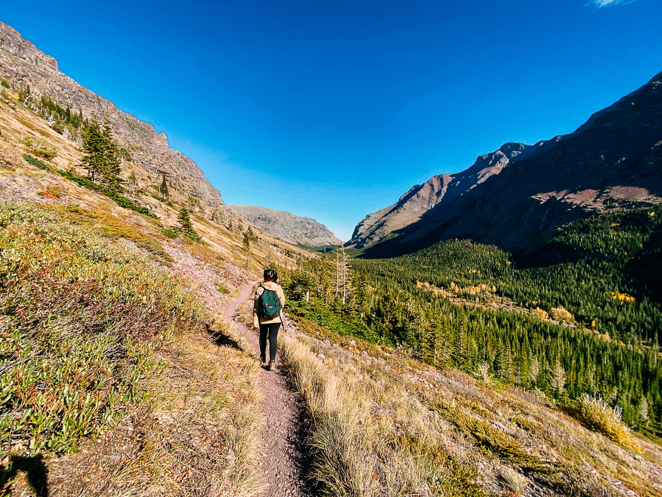 Sarah walking back through meadow valley