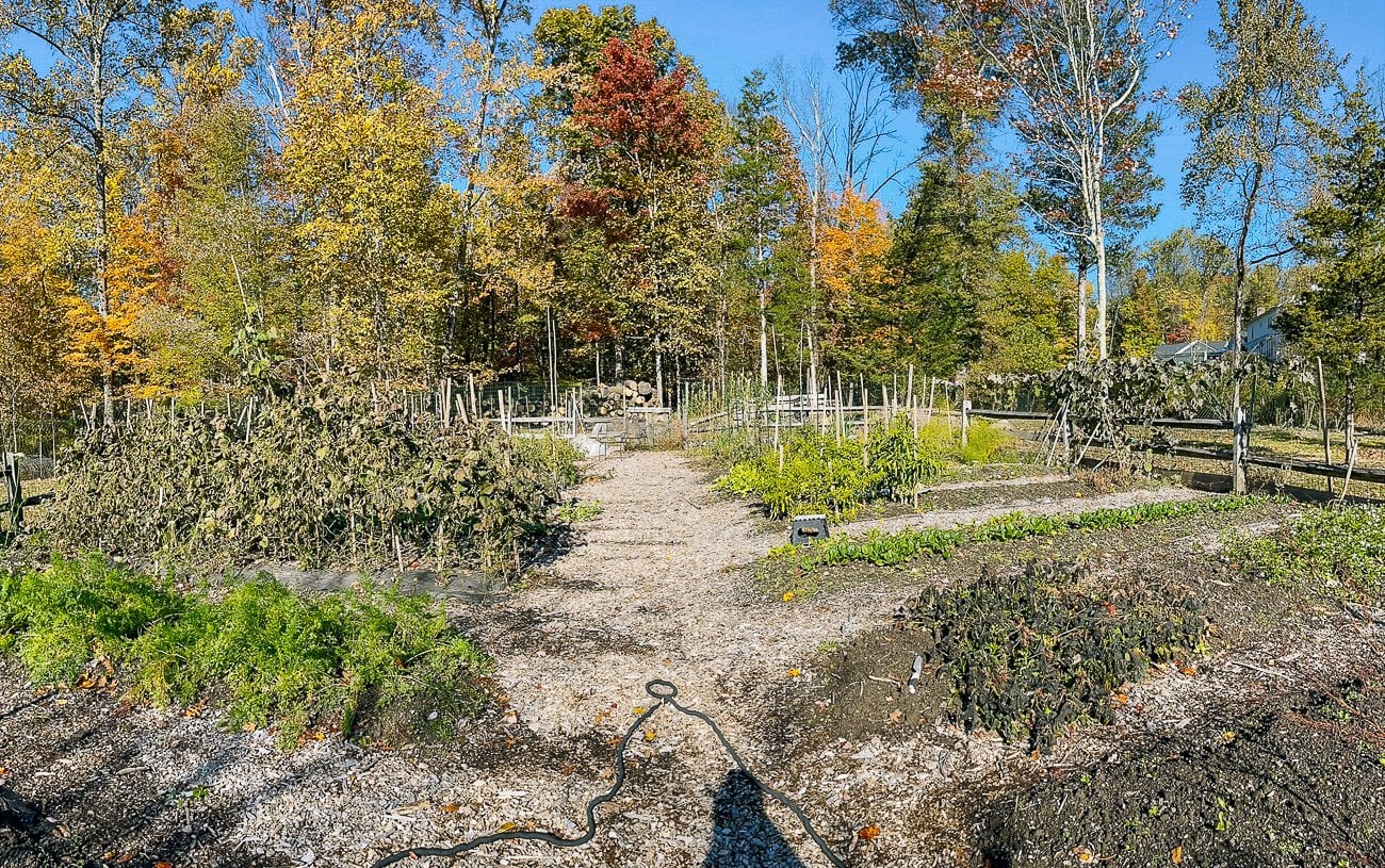 vegetable garden in fall