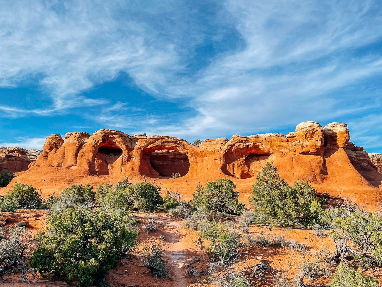 Tapestry Arches