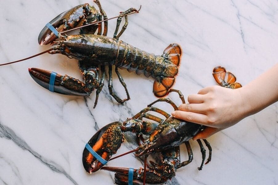 Lobster Rolls with Crispy Ginger & Scallions, by cwww5.fioekdjsdas.cf