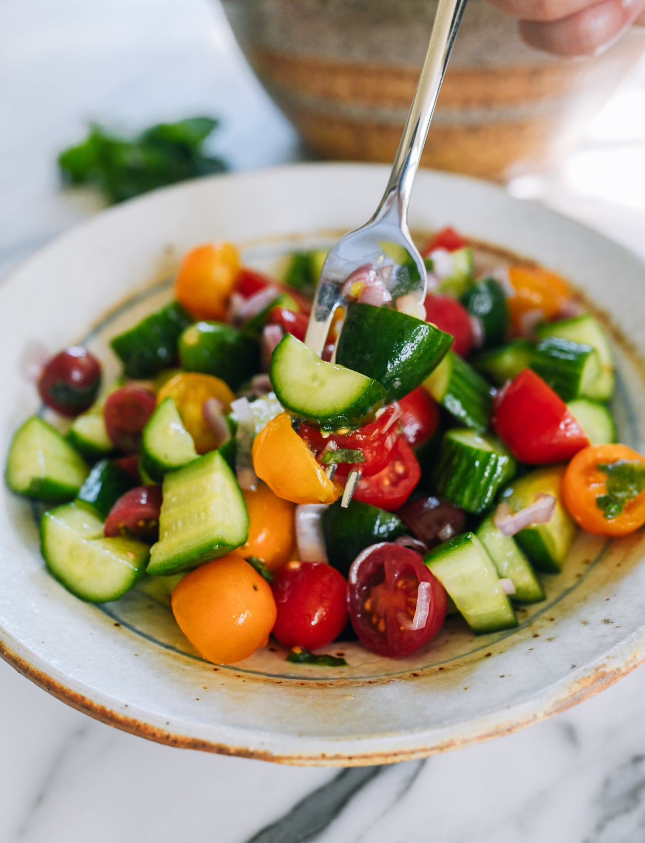 Cucumber Tomato Salad with Mint